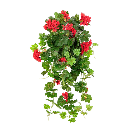 Künstliche Hänge-Geranie - Alessio, 72 cm, Kunstpflanze von aplanta, Steckpflanze, in Rot, für drinnen