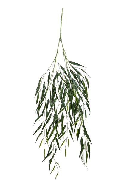 Künstlicher Weide Zweig - Bastian auf transparentem Hintergrund mit echt wirkenden Kunstblättern in natürlicher Anordnung. Künstlicher Weide Zweig - Bastian hat die Farbe Natur und ist 134 cm hoch. | aplanta Kunstpflanzen