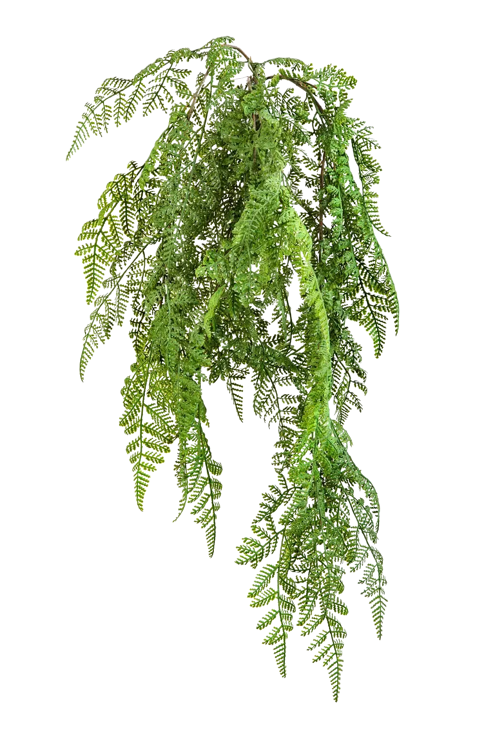 Künstlicher Hänge-Wurmfarn - Bennett | 60 cm