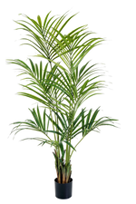 Künstliche Kentia Palme - Cataleya, 172 cm, Kunstbaum von aplanta, in Natur, für drinnen
