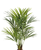 Hochwertige Kunstpalme auf transparentem Hintergrund mit echt wirkenden Kunstblättern in natürlicher Anordnung. Künstliche Kentia Palme - Cecilia hat die Farbe Natur und ist 140 cm hoch. | aplanta Kunstpflanzen