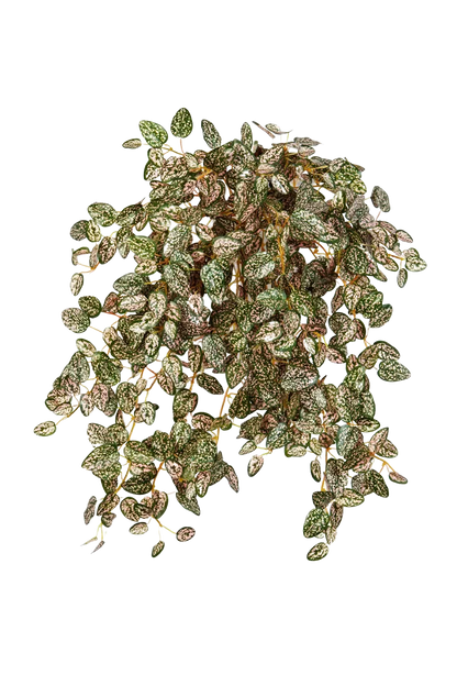 Künstliche Hypoestes - Eliah, Kunstpflanze von aplanta, Steckpflanze, in Natur, für drinnen