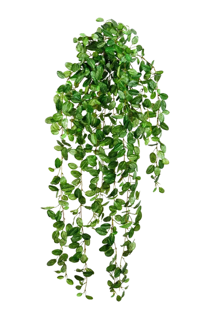 Künstliche Hänge-Fittonia - Freya, 85 cm, Kunstpflanze von aplanta, Steckpflanze, in Natur, für drinnen