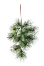 Künstlicher Pinien-Zweig - Friedrich auf transparentem Hintergrund mit echt wirkenden Kunstblättern in natürlicher Anordnung. Künstlicher Pinien-Zweig - Friedrich hat die Farbe Natur und ist 70 cm hoch. | aplanta Kunstpflanzen