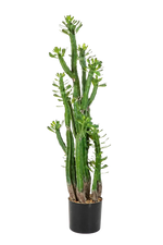 Künstlicher Kaktus - Hermann auf transparentem Hintergrund mit echt wirkenden Kunstblättern. Diese Kunstpflanze gehört zur Gattung/Familie der "Kakteen" bzw. "Kunst-Kakteen".