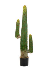 Künstlicher Kaktus - Hagen, 125 cm, Kunstpflanze von aplanta, in Natur, für drinnen