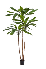 Künstliche Lilie - Isabell, 240 cm, Kunstbaum von aplanta, in Natur, für drinnen