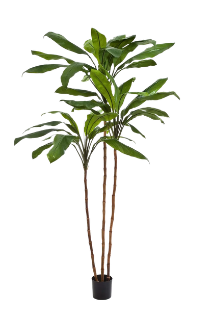 Künstliche Lilie - Isabell, 240 cm, Kunstbaum von aplanta, in Natur, für drinnen