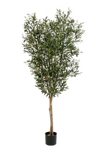 Künstliche Olivenbaum - Ilona, 180 cm, Kunstbaum von aplanta, in Natur, für drinnen