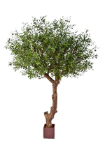 Künstlicher Olivenbaum - Ilias, 270 cm, Kunstbaum von aplanta, in Natur, für drinnen