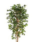 Künstlicher Chinesischer Ficus - Ismail | 210 cm