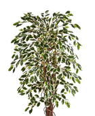 Künstlicher Ficus – Ravian | 120 cm