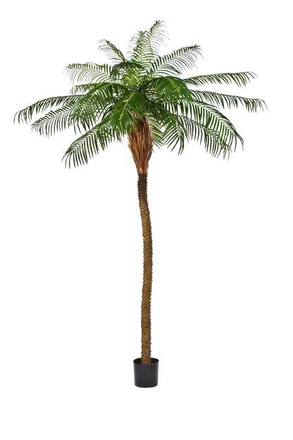 Künstliche Phoenixpalme - Zephyra, 210 cm, Kunstbaum von aplanta, in Grün, für drinnen
