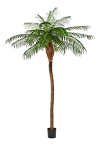 Künstliche Phoenixpalme - Zephyra, 180 cm, Kunstbaum von aplanta, in Grün, für drinnen