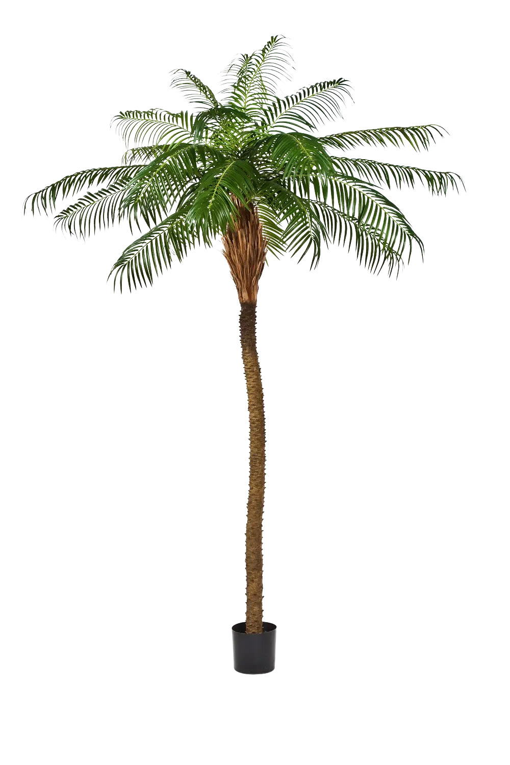Künstliche Phoenixpalme - Zephyra, 180 cm, Kunstbaum von aplanta, in Grün, für drinnen