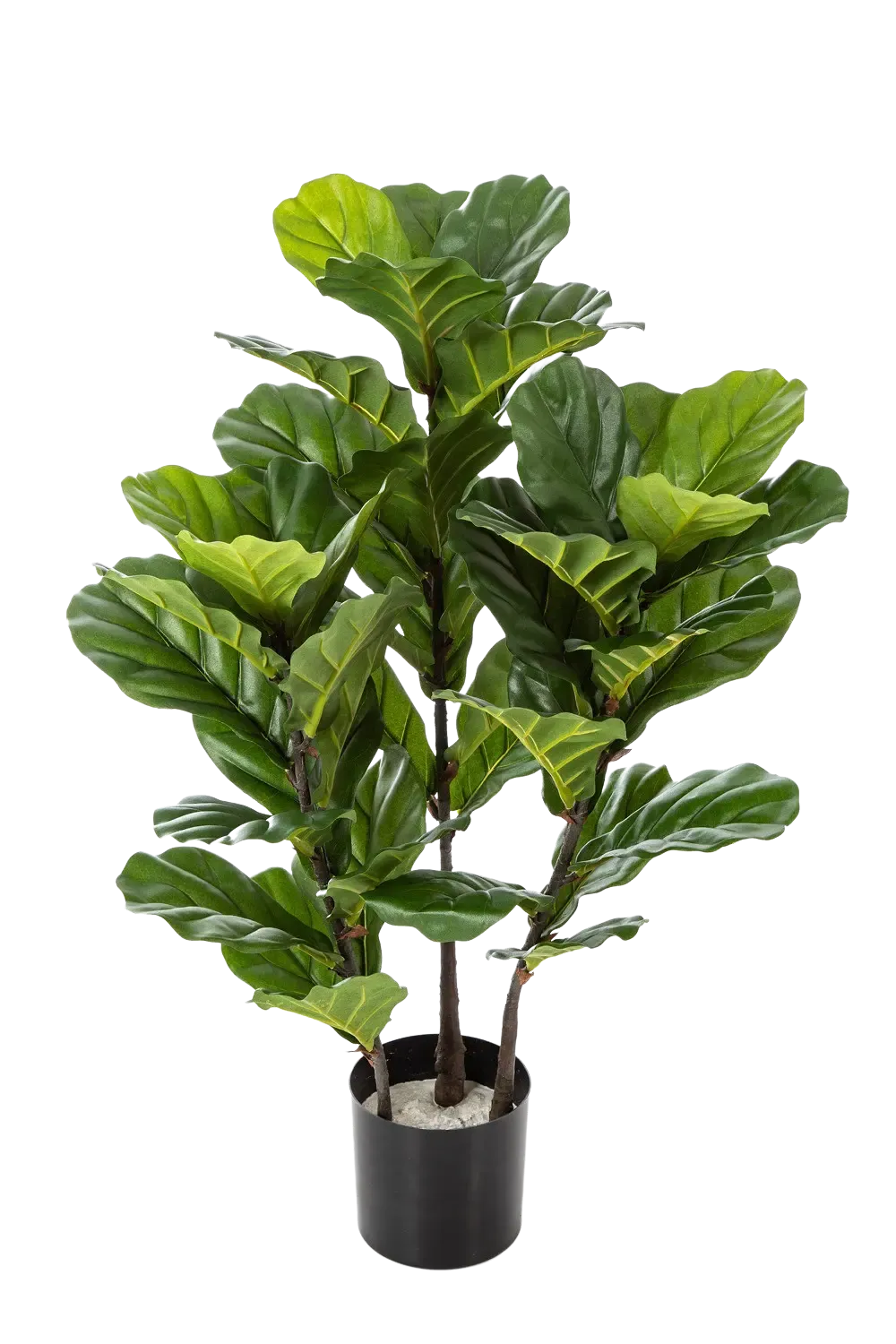Künstliche Geigenfeige - Lena, 90 cm, Kunstbaum von aplanta, in Natur, für drinnen