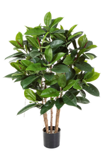 Künstlicher Gummibaum - Laura auf transparentem Hintergrund mit echt wirkenden Kunstblättern. Diese Kunstpflanze gehört zur Gattung/Familie der "Gummibäume" bzw. "Kunst-Gummibäume".