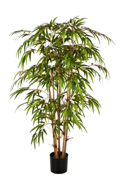 Hochwertiger Kunstbambus auf transparentem Hintergrund mit echt wirkenden Kunstblättern in natürlicher Anordnung. Künstlicher Bambus - Lasse hat die Farbe Natur und ist 120 cm hoch. | aplanta Kunstpflanzen
