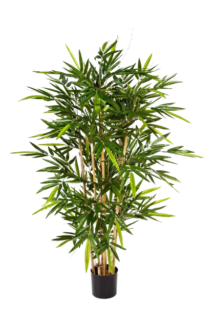 Künstlicher Bambus - Melina auf transparentem Hintergrund mit echt wirkenden Kunstblättern. Diese Kunstpflanze gehört zur Gattung/Familie der "Bambuse" bzw. "Kunst-Bambuse".