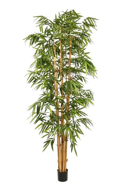 Künstlicher Bambus – Kenai | 180 cm