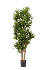 Künstliche Dracaena Reflexa - Sylvaran, 150 cm, Kunstbaum von aplanta, in Grün, für drinnen