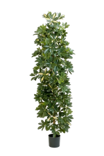 Künstlicher Schefflera Baum - Osman, 180 cm, Kunstbaum von aplanta, für drinnen
