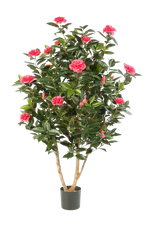 Künstliche japanische Kamelie - Phileas, 150 cm, Kunstbaum von aplanta, in Pink, für drinnen