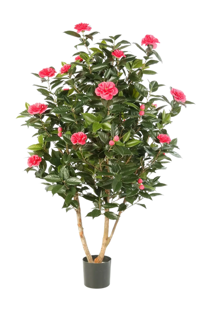 Künstliche japanische Kamelie - Phileas, 150 cm, Kunstbaum von aplanta, in Pink, für drinnen