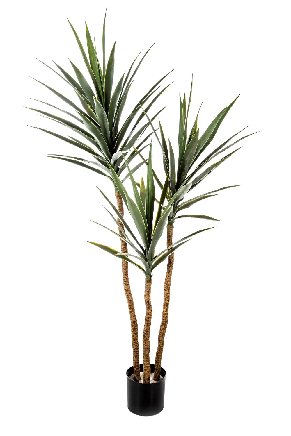 Künstliche Yucca – Talandra | 150 cm