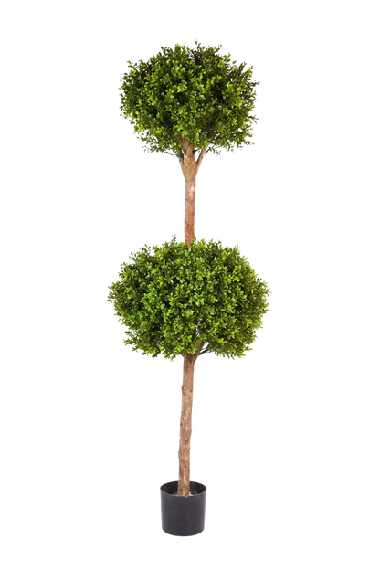 Künstlicher Buchsbaum - Ruben, 165 cm, Kunstbaum von aplanta, mit Echtholzstamm, im schwarzen Topf, in Natur, für drinnen