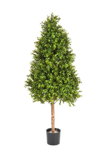 Hochwertiger Buchsbaum künstlich auf transparentem Hintergrund mit echt wirkenden Kunstblättern in natürlicher Anordnung. Künstlicher Buchsbaum - Rene hat die Farbe Natur und ist 140 cm hoch. | aplanta Kunstpflanzen