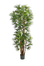 Künstliche Palme - Sören, 180 cm, Kunstbaum von aplanta, in Natur, für drinnen