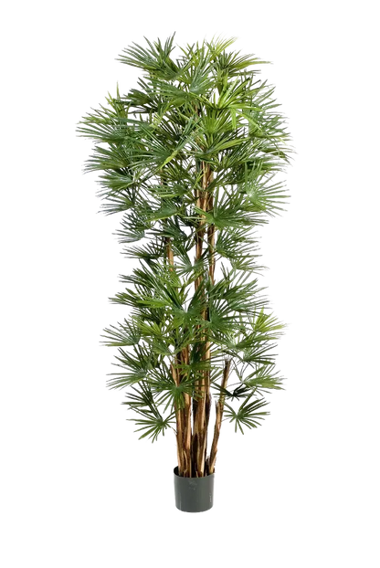 Künstliche Palme - Sören, 180 cm, Kunstbaum von aplanta, in Natur, für drinnen