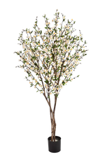 Künstlicher Kirschbaum - Willi auf transparentem Hintergrund mit echt wirkenden Kunstblättern. Diese Kunstpflanze gehört zur Gattung/Familie der "Kirschbäume" bzw. "Kunst-Kirschbäume".