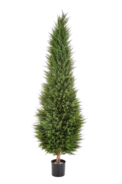 Künstliche Zypresse - Philip, 180 cm, Kunstbaum von aplanta, Real Touch, in Natur, für drinnen