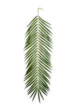 Künstliches Phoenixpalmenblatt - Oliwia, 88 cm, Kunstpflanze von aplanta, in Natur, für drinnen