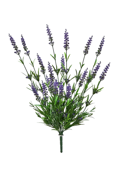 Künstlicher Lavendel - Merle auf transparentem Hintergrund mit echt wirkenden Kunstblättern in natürlicher Anordnung. Künstlicher Lavendel - Merle hat die Farbe Lavendel und ist 52 cm hoch. | aplanta Kunstpflanzen
