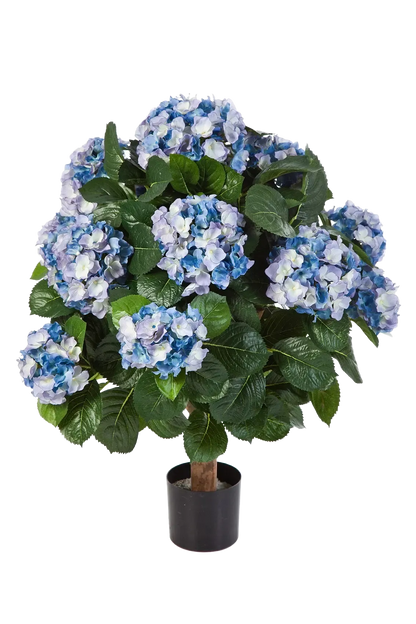 Hochwertige Hortensie künstlich auf transparentem Hintergrund mit echt wirkenden Kunstblättern in natürlicher Anordnung. Künstliche Hortensie - Naomi hat die Farbe Blau und ist 62 cm hoch. | aplanta Kunstpflanzen