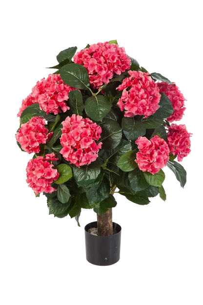Hochwertige Hortensie künstlich auf transparentem Hintergrund mit echt wirkenden Kunstblättern in natürlicher Anordnung. Künstliche Hortensie - Nils hat die Farbe Rot und ist 62 cm hoch. | aplanta Kunstpflanzen