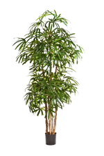 Künstliche Steckenpalme - Nela, 230 cm, Kunstbaum von aplanta, in Natur, für drinnen