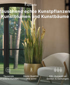 Künstliche Peperomia - Melon