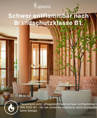Künstlicher Gummibaum - Erich | 60 cm