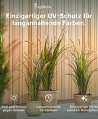Künstlicher Buchsbaum - Lynn | 53 cm