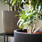 Blumentopf Kugel Groove schwarz gold, 43x41cm, Pflanzkübel von aplanta, in Schwarz-Gold, für drinnen & draußen