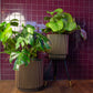 Blumentopf zylinder Groove gold, 44x46cm, Pflanzkübel von aplanta, in Schwarz-Gold, für drinnen & draußen
