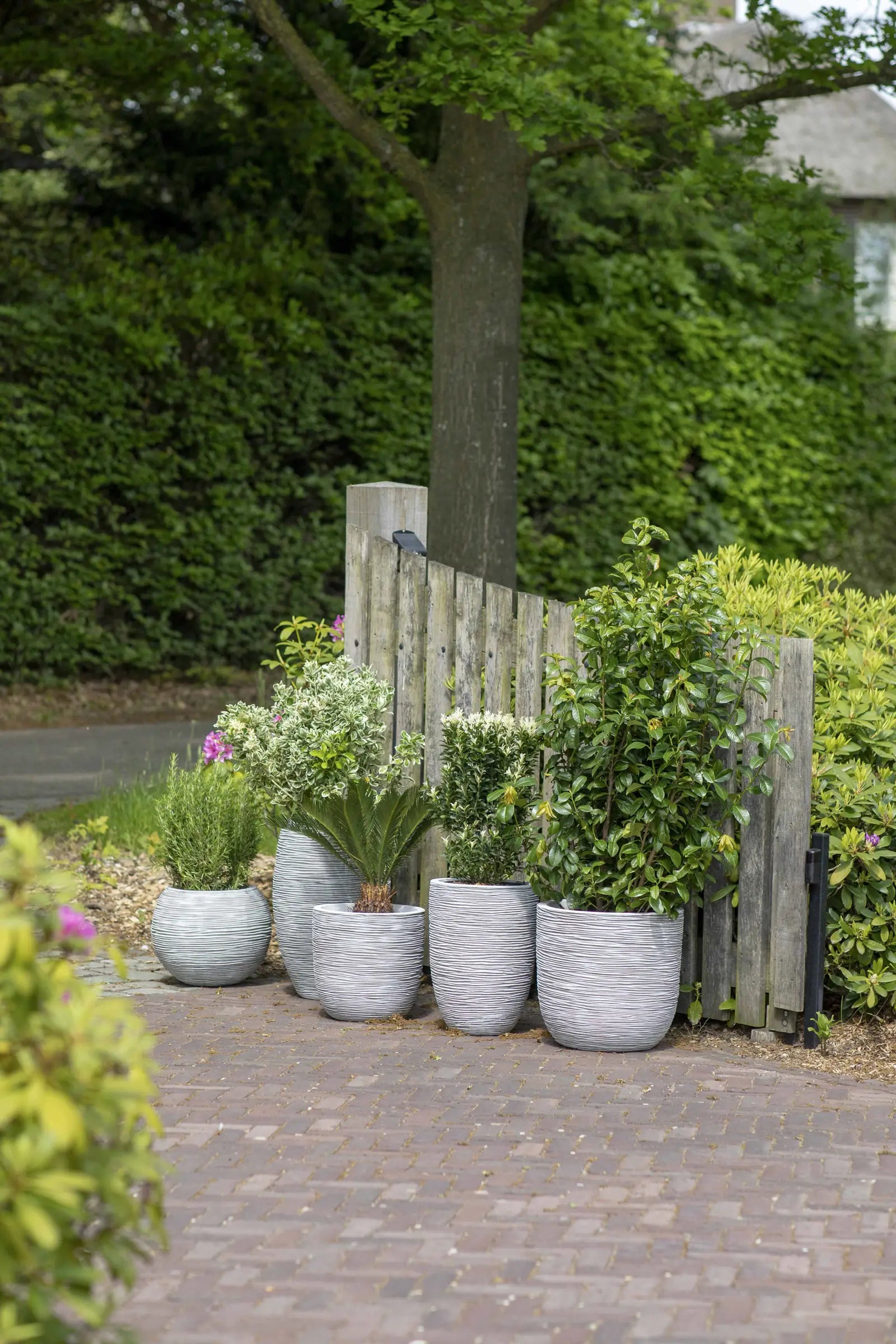 Blumentopf hoch elegant deluxe Rib elfenbein | 40x60 cm