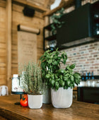 Blumentopf Kugel Groove elfenbein I 17x15 cm