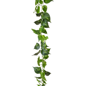 Künstliche Pothos Girlande - Christian | 220 cm