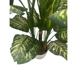 Künstliche Dieffenbachia – Mirella | 90 cm