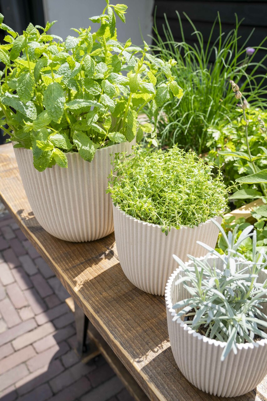 Blumentopf Kugel Groove 25x23 Beige